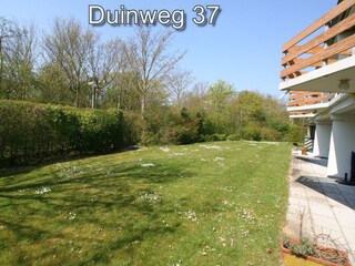 Vakantieappartement Westkapelle Buitenaudio-opname 6