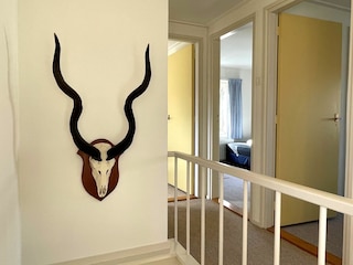 Vakantiehuis Dishoek Kenmerken 16