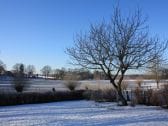 Garten im Winter