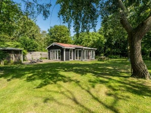 Ferienhaus De Vroongronden - Burgh-Haamstede - image1