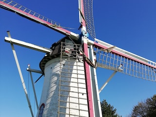 Vakantiehuis Scharendijke Omgeving 25