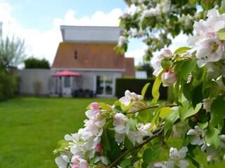 Vakantiehuis Scharendijke Buitenaudio-opname 3