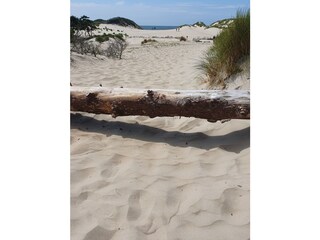 Casa per le vacanze Scharendijke Ambiente 30