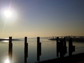 Casa per le vacanze Scharendijke Ambiente 20