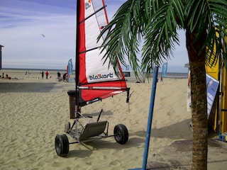 Vakantiehuis Scharendijke Omgeving 18