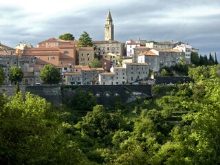 Villa Natura with pool in Labin  - wiibuk.com