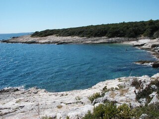 Villa Natura with pool in Labin  - wiibuk.com