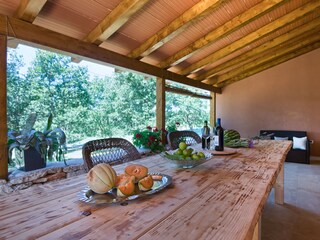 Villa Ližnjan Buitenaudio-opname 11