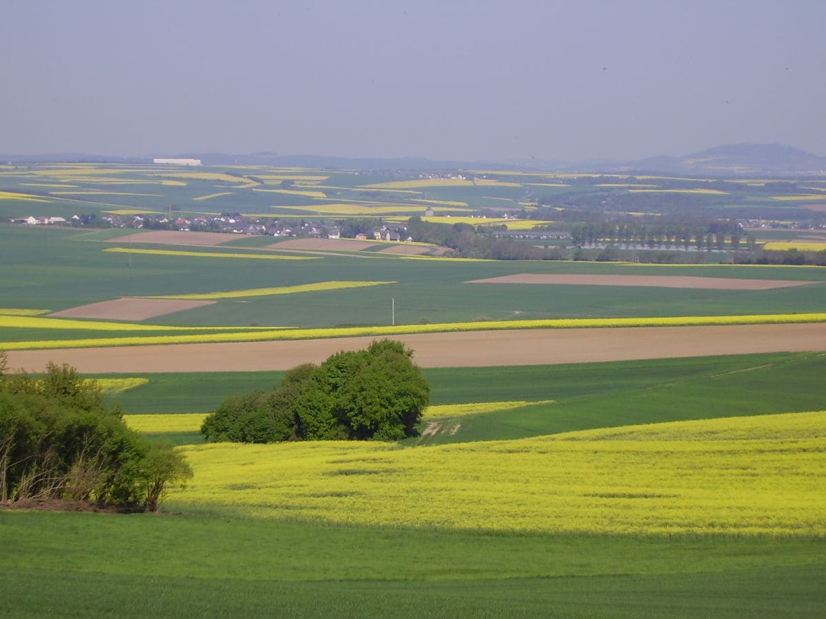 Blick auf die Umgebung