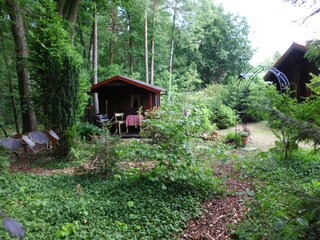 Hier kann man die natürlichen Waldbewohner beobachten.