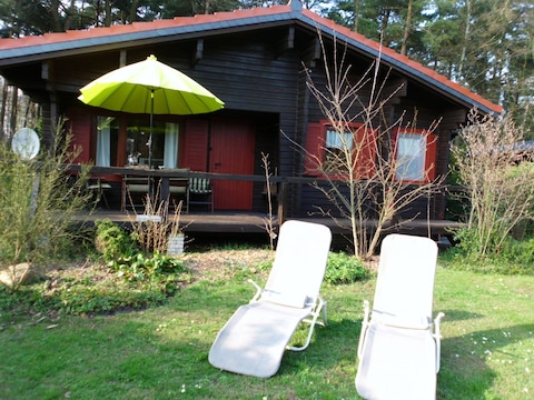 Ferienhaus Heideblockhaus "Heidelbeere"