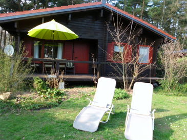 Ferienhaus Heideblockhaus "Heidelbeere"