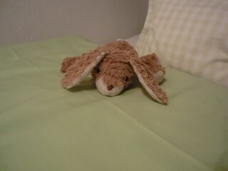 Residenza Langeoog Caratteristiche 21