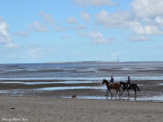 Strand Schillig