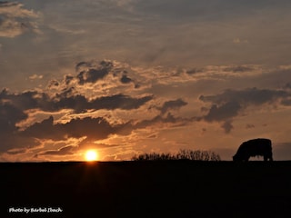 Sonnenuntergang hinter dem Deich am Haus