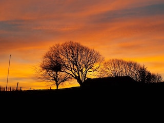 Sonnenuntergang über dem Deich