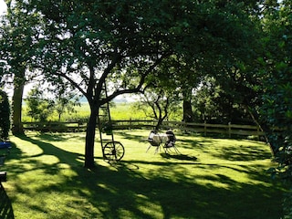 Garten in der frühen Stunde