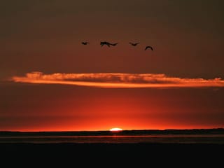 Sonnenuntergang über dem Meer