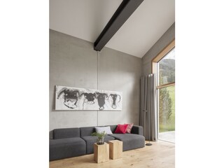 Casa per le vacanze Mittelberg Caratteristiche 21