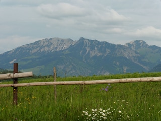 Blick zu Iseler und Wannenjoch