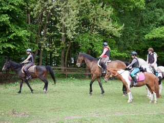 Appartamento per vacanze Arnsberg Ambiente 16