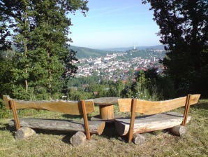 Vakantieappartement Haakhoek - Arnsberg - image1