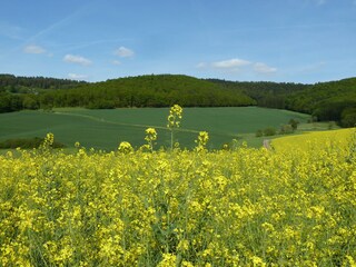 Casa per le vacanze Sontra Ambiente 22