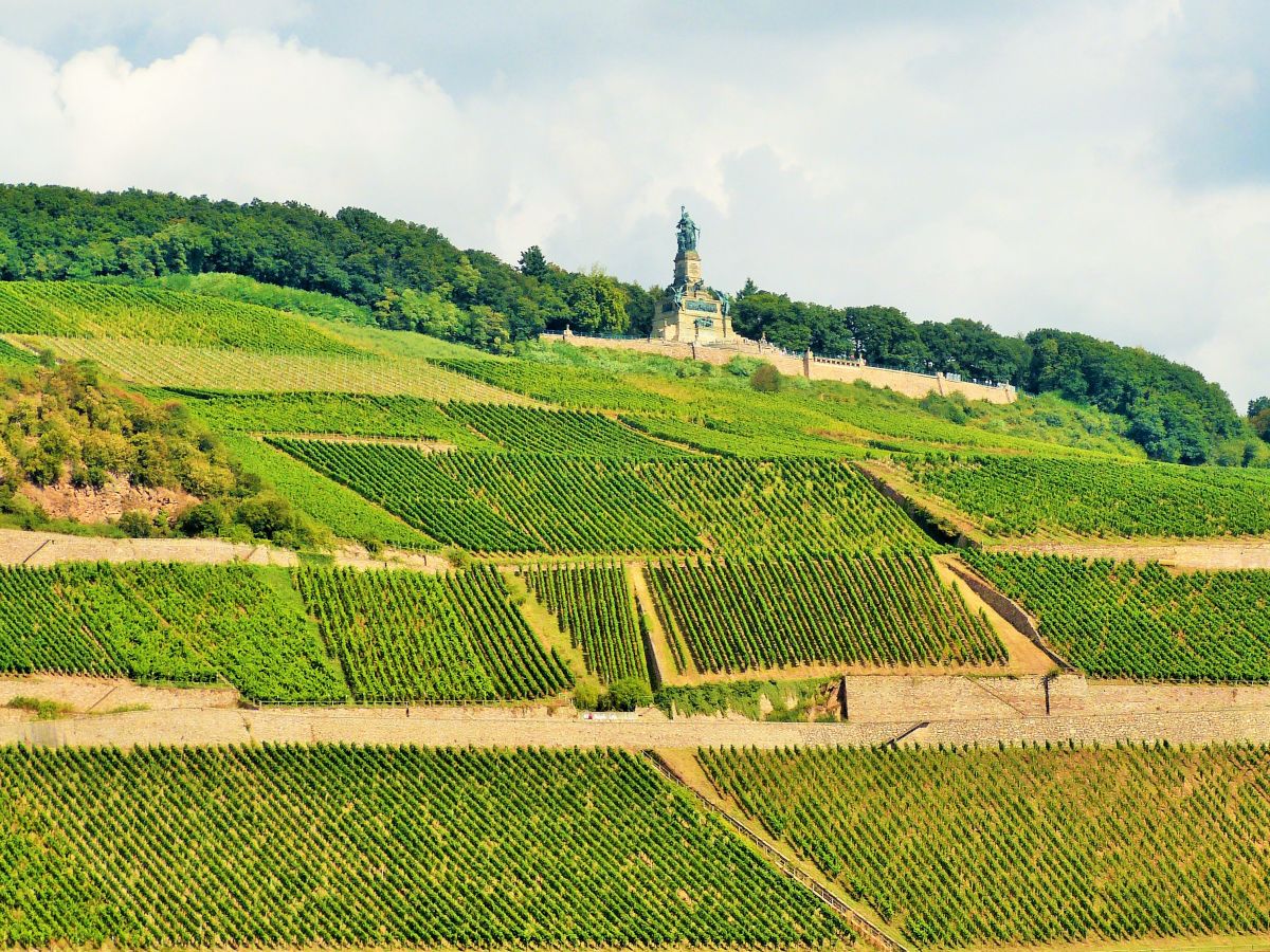 Bingen am Rhein mit Blick auf das Niederwald-Denkmal