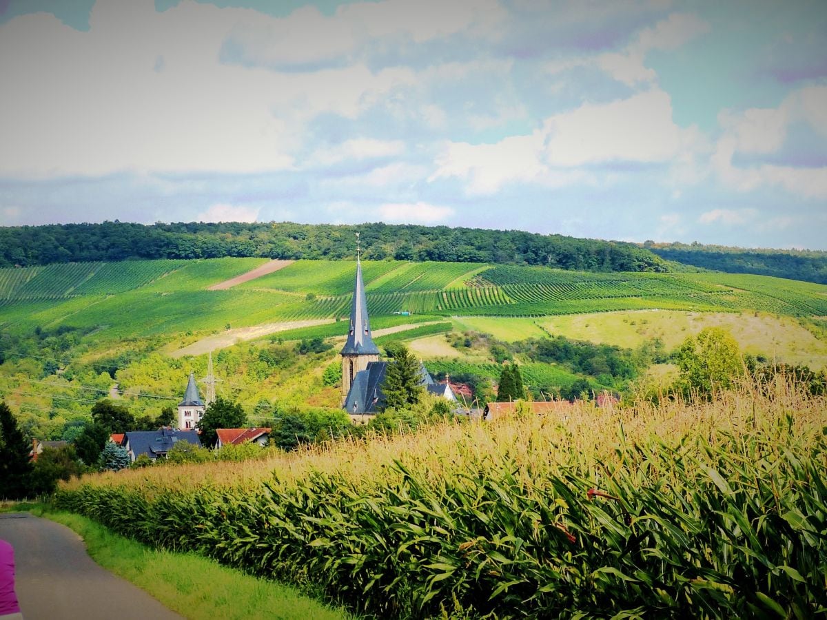 Blick auf Windesheim