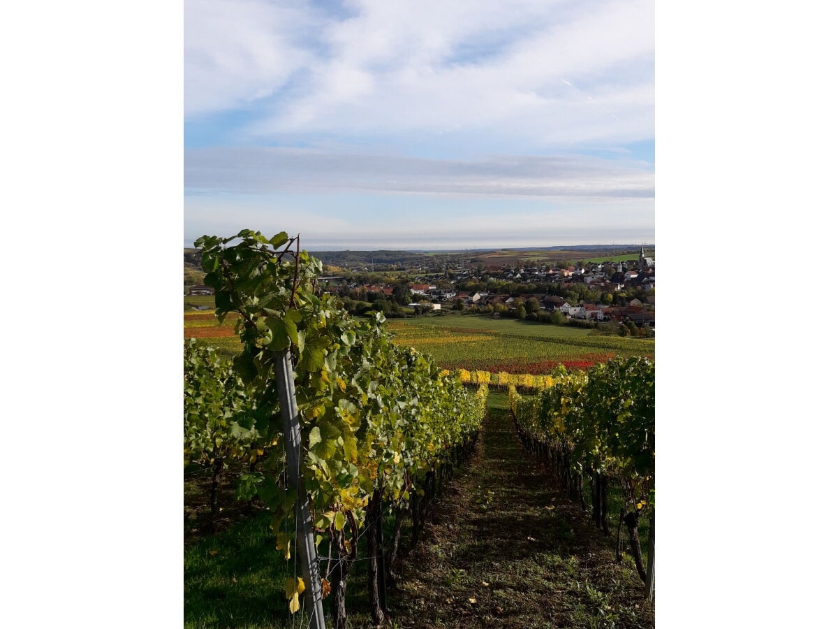 Blick auf Windesheim