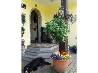 Appartamento Pinswang Ambiente 18