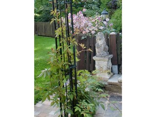 Appartamento Pinswang Ambiente 30