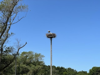 Naturschutzgebiet