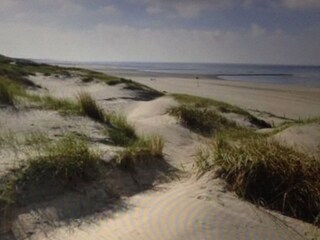 Casa per le vacanze Julianadorp Ambiente 20