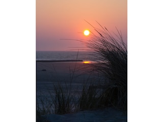 Ferienwohnung Norderney Umgebung 11