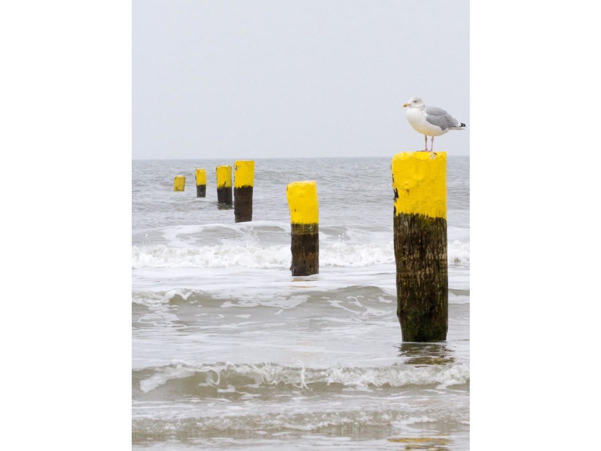 Ferienwohnung Norderney Umgebung 16