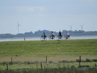 Ferienwohnung Norderney Umgebung 10