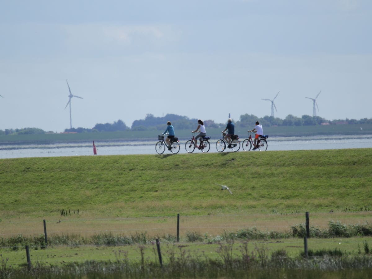 Ferienwohnung Norderney Umgebung 13