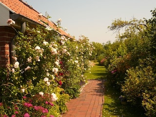 Westeingang und Blick in den Garten