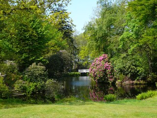 Schloßpark Lütetsburg
