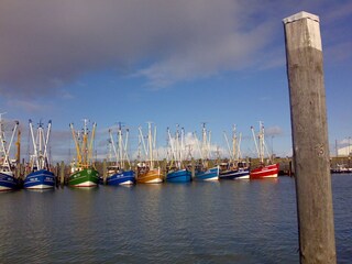 Fischereihafen in Norddeich