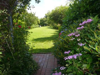 Blick in den sommerlichen Garten