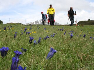 Casa per le vacanze Sautens Ambiente 23
