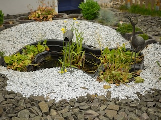 Ein kleiner Teich vor dem Haus