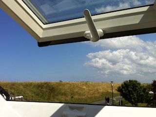 Blick nach hinten auf den Deich