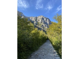 Casa per le vacanze Vrsi Ambiente 39