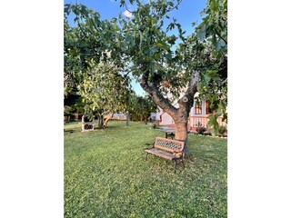 Casa per le vacanze Vrsi Registrazione all'aperto 7