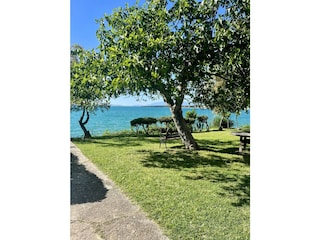 Vakantiehuis Vrsi Omgeving 6