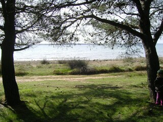 Vakantiehuis Vrsi Omgeving 34