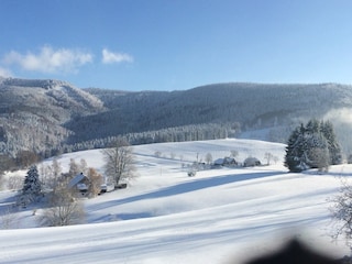 Winter im Loisach-Tal
